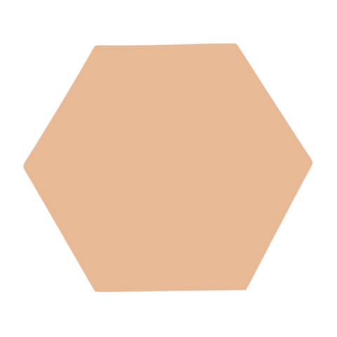 F0117 Hexagon Metal Blank