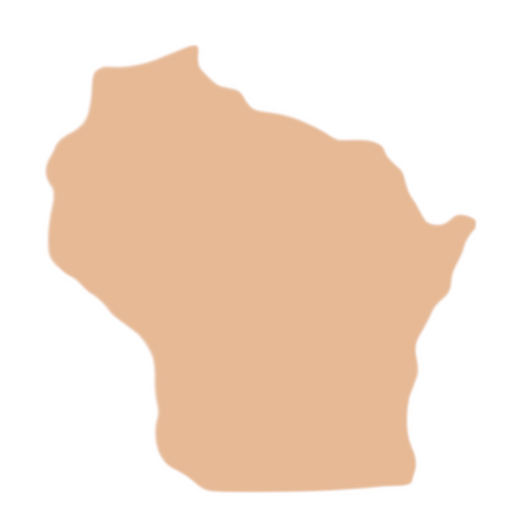 F0125 Wisconsin Metal Blank