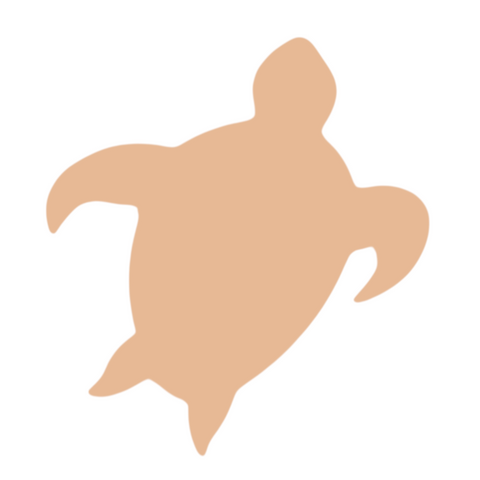F0154 Turtle Metal Blank