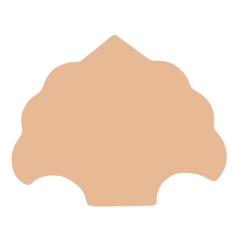F0157 Shell Metal Blank