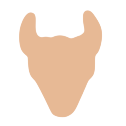F0172 Steer Head Metal Blank