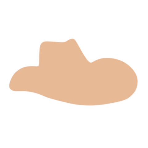 F0185 Cowboy Hat Metal Blank