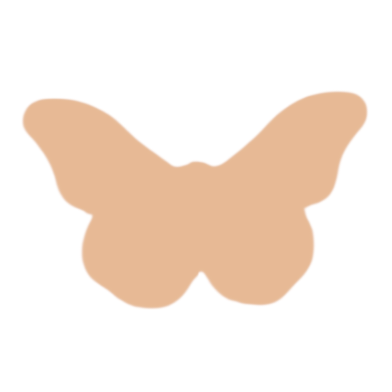 F0202 Butterfly Metal Blank