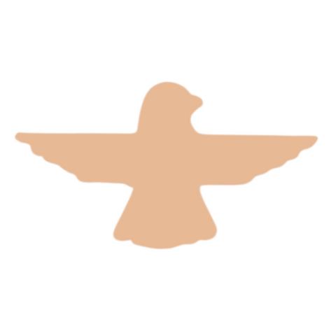 F0216 Thunderbird Metal Blank
