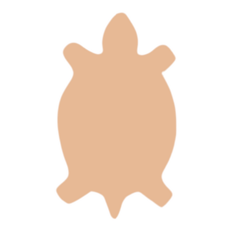 F6045 Southwest Turtle Blank
