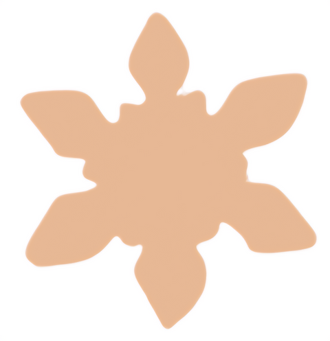 F6198 Snowflake Metal Blank