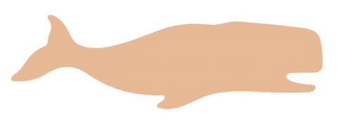F6262 Whale Metal Blank