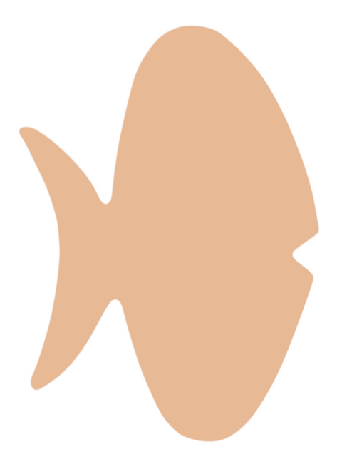 F6271 Funky Fish Metal Blank