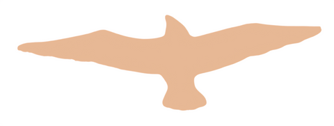 F6280 Eagle Metal Blank
