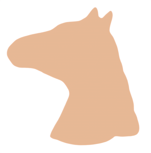 F6286 Horse Head Metal Blank