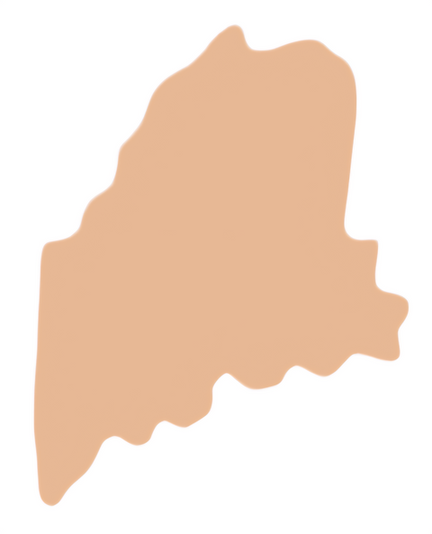 F6329 Maine Metal Blank