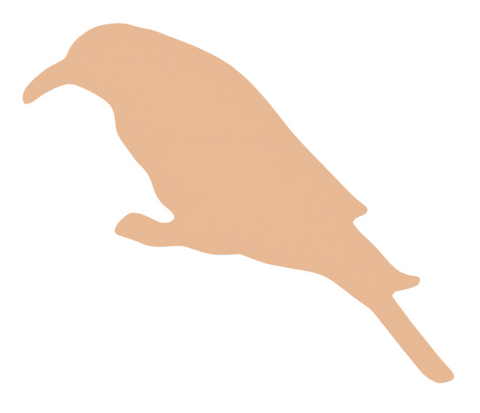 F6341 Raven Metal Blank