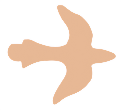 F6343 Swallow Metal Blank