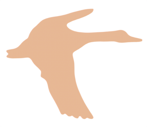 F6359 Flying Duck Metal Blank