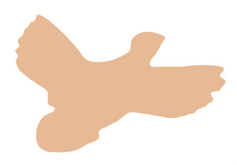 F6387 Bird Metal Blank
