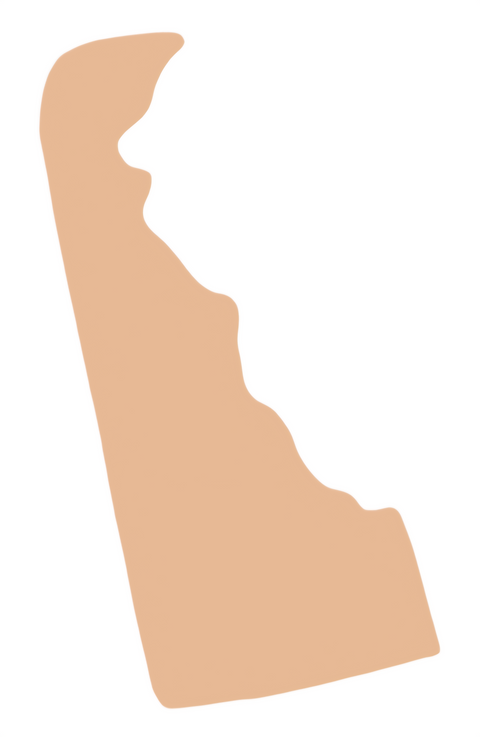 F6439 Delaware Metal Blank