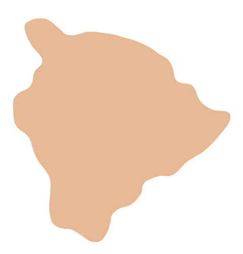 F6442 Hawaii Metal Blank