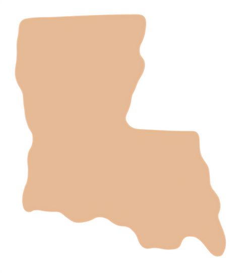 F6447 Louisiana Metal Blank