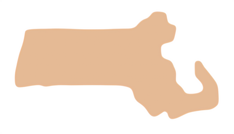 F6463 Massachusetts Metal Blank