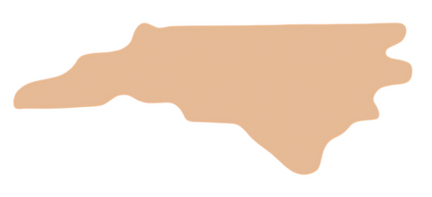 F6469 North Carolina Metal Blank
