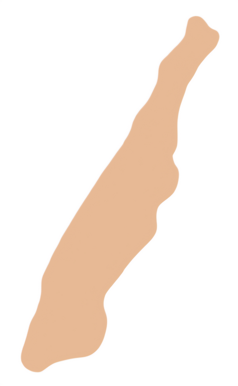 F6491 Manhattan Island Metal Blank