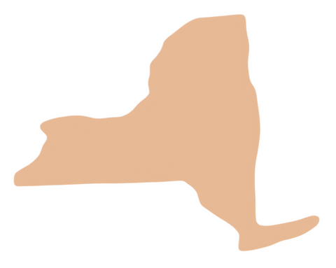 F6500 New York Metal Blank