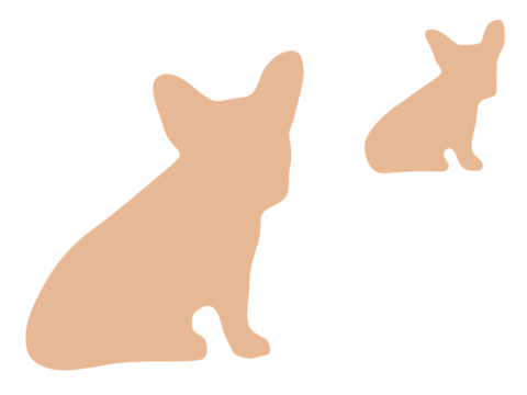 F6507 Smoke the French Bulldog Metal Blank