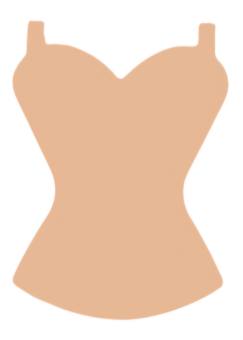F6528 Corset Metal Blank