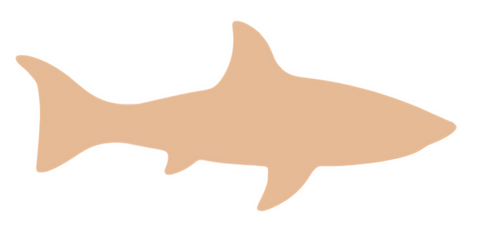 F6563 Trout Metal Blank