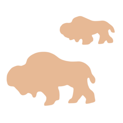 F6577 Buffalo Metal Blank