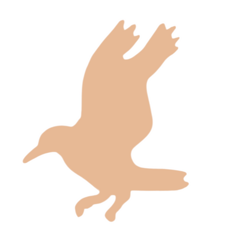 F6579 Lucky Crow Metal Blank