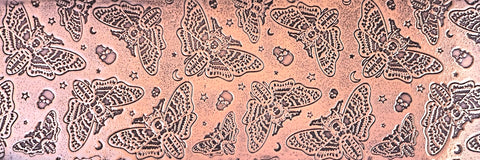 TTS0310 Moths and Skulls Textured Metal Sheet