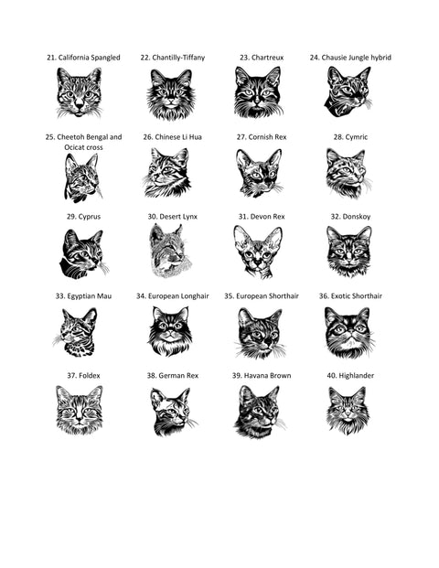 RMPCCAT Create Your Own Cat Rolling Mill Plate