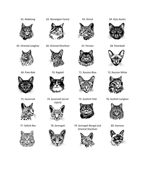 RMPCCAT Create Your Own Cat Rolling Mill Plate