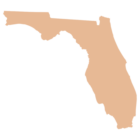 F0287 Florida Metal Blank