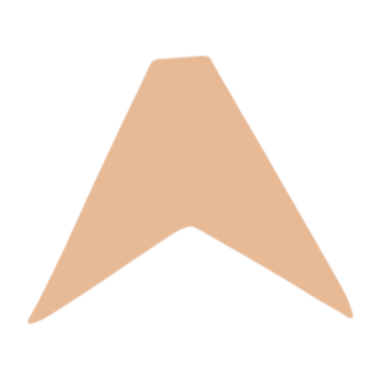 F0105 Shield Metal Blank