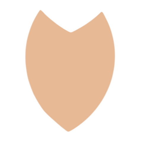 F0111 Shield Metal Blank