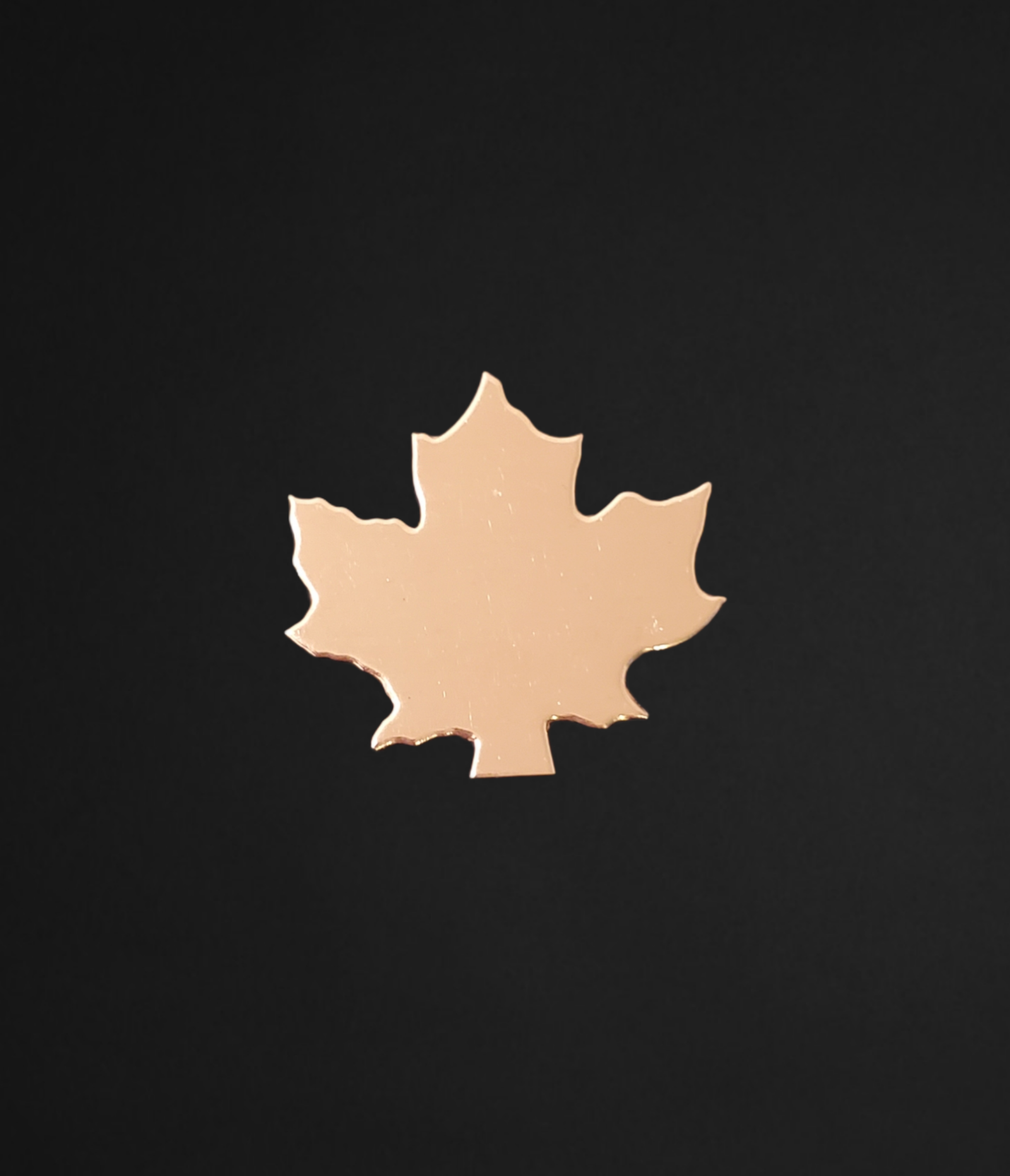 F0115 Leaf Metal Blank