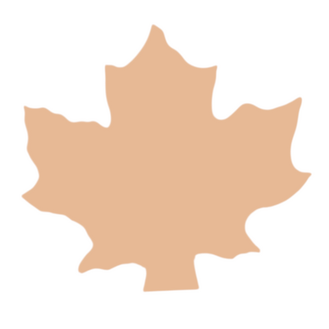 F0115 Leaf Metal Blank