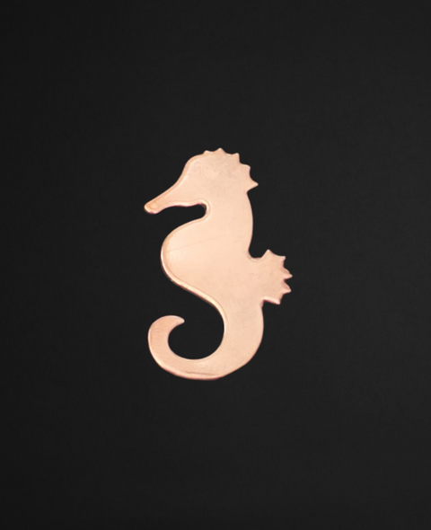 F0142 Seahorse Metal Blank