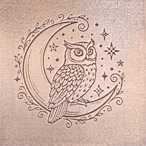 TTS6054 Midnight Owl Tiny Textured Metal Sheet
