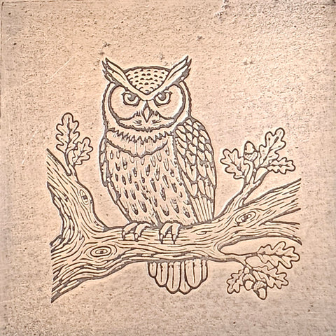 TTS6070 Woodland Owl Tiny Textured Metal Sheet
