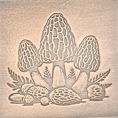 TTS6046 Morel Magic Tiny Textured Metal Sheet