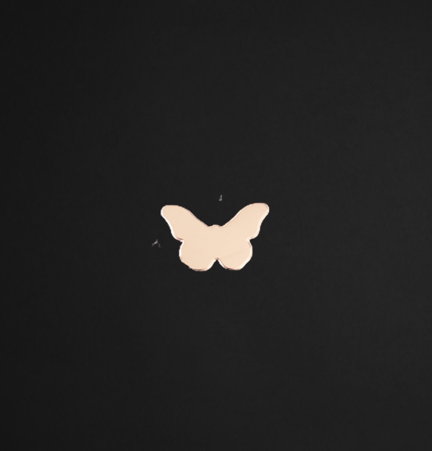 F0202 Butterfly Metal Blank