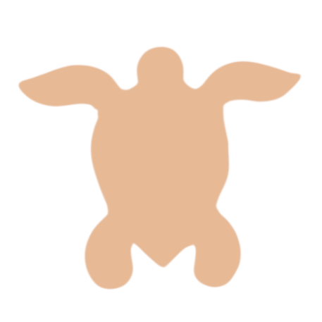 F0211 Turtle Metal Blank