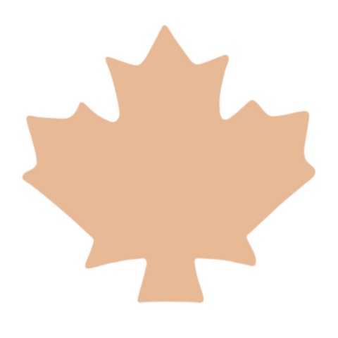 F0263 Canadian Leaf Metal Blank
