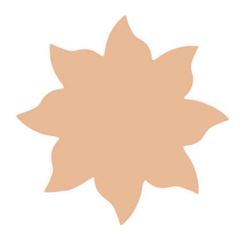 F0275 Sun Metal Blank