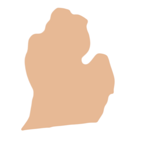 F0284 Michigan Metal Blank