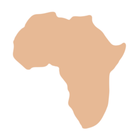 F0286 Africa Metal Blank