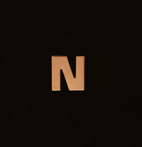 F0319 Letter "N" Metal Blank